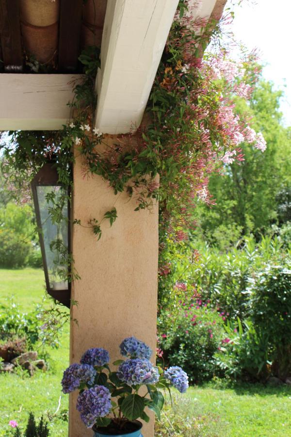 Mas Les Romarins: Tranquil Uzes Retreat with Spacious Garden Exterior photo
